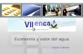Economía y valor del agua Jaime Collado. PROVISIÓN DEL SERVICIO DE AGUA.