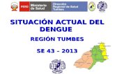 SITUACIÓN ACTUAL DEL DENGUE REGIÓN TUMBES SE 43 – 2013.
