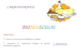 CARBOHIDRATOS LÍPIDOS BIOMOLÉCULAS OBJETIVOS: Conocer la estructura de Carbohidratos y lípidos. Comprender la importancia biológica de aquellas biomoléculas.