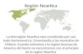 La biorregión Neartica esta constituida por casi todo Norteamerica, Groenlandia y las montañas de México. Cuando entramos a la region bozcosa de America.