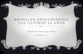 ANIMALES DESCUBIERTOS LOS ÚLTIMOS 10 AÑOS Sebastián Rodríguez Peña CURSO 6. A.