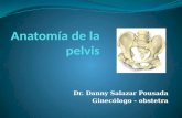 Dr. Danny Salazar Pousada Ginecólogo - obstetra. CANAL DEL PARTO Estructura ósea: Pelvis Conjunto músculo: suelo pelvis.