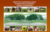 INSTITUTO AGROPECUARIO FUNDACIÓN SOCIEDAD RURAL ARGENTINA.