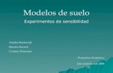 Modelos de suelo Experimentos de sensibilidad Natalia Montroull Ramiro Saurral Cristian Waimann Pronóstico Numérico 2do cuatrimestre 2008.
