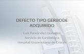 DEFECTO TIPO GERBODE ADQUIRIDO Luis Fernández González Servicio de Cardiología Hospital Universitario de Cruces.