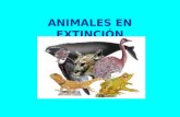 ANIMALES EN EXTINCIÓN EXPOSITORA: BETTY VIGO MORALES.
