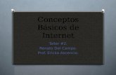 Conceptos Básicos de Internet Taller #2. Renato Del Campo. Prof. Ericka Ascencio.