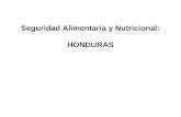 Seguridad Alimentaria y Nutricional: HONDURAS. Informe preparado por: OPS / OMS, UNICEF, PMA, FAO, Secretaria de Salud.