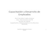 Capacitación y Desarrollo de Empleados Prof. Ana Delia Trujillo-Jiménez Univ. Interamericana de PR Recinto de Fajardo Capacitación y Adiestramiento en.