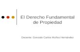 El Derecho Fundamental de Propiedad Docente: Gonzalo Carlos Muñoz Hernández.