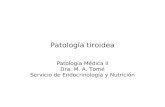 Patología tiroidea Patología Médica II Dra. M. A. Tomé Servicio de Endocrinología y Nutrición.