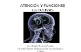 ATENCIÓN Y FUNCIONES EJECUTIVAS Lic. Bradly Marín Picado PS-1009 Bases biológicas de la conducta II II-2013.