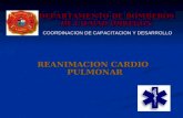 DEPARTAMENTO DE BOMBEROS DE CIUDAD OBREGON REANIMACION CARDIO PULMONAR REANIMACION CARDIO PULMONAR COORDINACION DE CAPACITACION Y DESARROLLO.