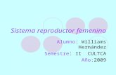 Sistema reproductor femenino Alumno: Williams Hernández Semestre: II CULTCA Año:2009.