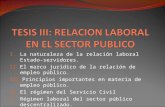 I. La naturaleza de la relación laboral Estado-servidores. II. El marco jurídico de la relación de empleo público. III. Principios importantes en materia.