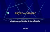 1 ANIEI – CONAIC Categorías y Criterios de Acreditación Junio 2001.