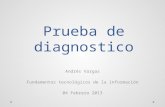 Prueba de diagnostico Andrés Vargas Fundamentos tecnológicos de la información 04 Febrero 2013.