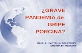 ¿GRAVE PANDEMIA de GRIPE PORCINA? RAÚL A. CANTELLA SALAVERRY DOCTOR EN MEDICINA.