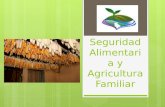 Seguridad Alimentaria y Agricultura Familiar. ¿QUE ES SEGURIDAD ALIMENTARIA? DISPONIBILIDAD APROVECHAMIENTO BIOLOGICO INOCUIDAD ACCESIBILIDAD.