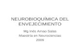 NEUROBIOQUÍMICA DEL ENVEJECIMIENTO Mg Inés Arnao Salas Maestría en Neurociencias 2009.