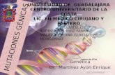 MUTACIONES GÉNICAS UNIVERSIDAD DE GUADALAJARA CENTRO UNIVERSITARIO DE LA COSTA LIC. EN MÉDICO CIRUJANO Y PARTERO Genética Dr. MartInez Ayon Enrique EQUIPO.