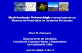 Modelamiento Meteorológico como base de un Sistema de Pronóstico de Incendios Forestales René D. Garreaud Departamento de Geofísica Facultad de Ciencias.