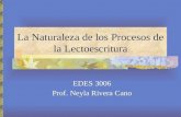 La Naturaleza de los Procesos de la Lectoescritura EDES 3006 Prof. Neyla Rivera Cano.