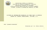 1 UNIVERSIDAD CENTRAL DE VENEZUELA. FACULTAD DE CIENCIAS ECONÓMICAS Y SOCIALES. COMISIÓN DE ESTUDIOS DE POSTGRADO. ESPECIALIZACIÓN ADMINISTRACIÓN DE RECURSOS.