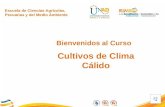Escuela de Ciencias Agrícolas, Pecuarias y del Medio Ambiente Bienvenidos al Curso Cultivos de Clima Cálido.