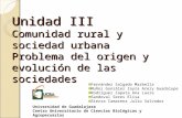 Unidad III Comunidad rural y sociedad urbana Problema del origen y evolución de las sociedades Universidad de Guadalajara Centro Universitario de Ciencias.