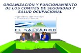 ORGANIZACIÓN Y FUNCIONAMIENTO DE LOS COMITÉS DE SEGURIDAD Y SALUD OCUPACIONAL.