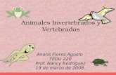 Animales Invertebrados y Vertebrados Anaris Flores Agosto TEDU 220 Prof. Nancy Rodríguez 19 de marzo de 2008.