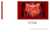 STDB Dra.Patricia Lucatero Ramos R1MI. Definición  Es aquella que tiene su origen en el tubo digestivo distal al angulo de Treitz.  Representa aproximadamente.