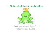 Ciclo vital de los animales Profesora Viviana Briceño, Segundo año básico.