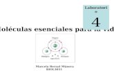 Moléculas esenciales para la vida Laboratorio 4 Marcela Bernal Múnera BIOL3051.
