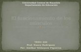 TEDU 220 Prof. Nancy Rodriguez Por: Amilkar Velázquez Figueroa Universidad Central de Bayamón Departamento de Educación.