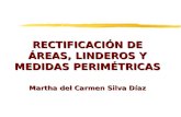 RECTIFICACIÓN DE ÁREAS, LINDEROS Y MEDIDAS PERIMÉTRICAS Martha del Carmen Silva Díaz.