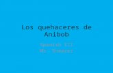 Los quehaceres de Anibob Spanish III Ms. Shearer.