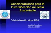 Consideraciones para la Diversificación Acuícola Sustentable Fabrizio Marcillo Morla MBA barcillo@gmail.com (593-9) 4194239 (593-9) 4194239.