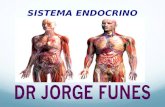 SISTEMA ENDOCRINO. El sistema endocrino es uno de los sistemas principales que tiene el cuerpo para comunicar, controlar y coordinar el funcionamiento.