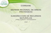 CORNARE SISTEMA REGIONAL DE ÁREAS PROTEGIDAS SUBDIRECCION DE RECURSOS NATURALES GRUPO BOSQUES Y BIODIVERSIDAD 2015.