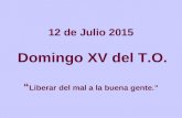 12 de Julio 2015 Domingo XV del T.O. “ Liberar del mal a la buena gente.”