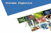 Sistema Digestivo. Describir la estructura y función del sistema digestivo en la nutrición.