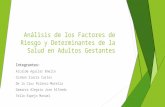 Análisis de los Factores de Riesgo y Determinantes de la Salud en Adultos Gestantes Integrantes: Alcalde Aguilar Emelin Corman Sierra Carlos De la Cruz.