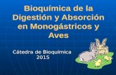 Bioquímica de la Digestión y Absorción en Monogástricos y Aves Cátedra de Bioquímica 2015.