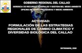 ACTIVIDAD: FORMULACIÓN DE LAS ESTRATEGIAS REGIONALES DE CAMBIO CLIMATICO Y DIVERSIDAD BIOLÓGICA DEL CALLAO GOBIERNO REGIONAL DEL CALLAO GERENCIA DE RECURSOS.