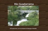 Río Guadarrama El Guadarrama, en el municipio de Galapagar (Madrid).