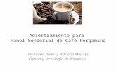Adiestramiento para Panel Sensorial de Café Pergamino Fernando Pérez y Adriana Méndez Ciencia y Tecnología de Alimentos.