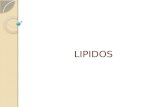 LIPIDOS. Lípidos Los lípidos son un grande y variado grupo de moléculas biológicas que generalmente son insolubles en agua. Están compuestos principalmente.