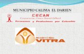 ENTIDADES PARTICIPANTES CAICEDONIA - CARTAGO Alianza Fundación VITRA - Corporación CECAN Gobernación del Valle Alcaldía Municipal de Caicedonia Alcaldía.